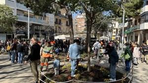 L'Hospitalet avanza hacia una ciudad más verde con una nueva plantación comunitaria en la plaza Espanyola
