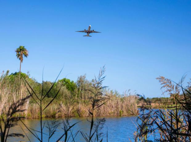 De aparcamiento abandonado a santuario natural: el cambio radical del aeropuerto en Viladecans