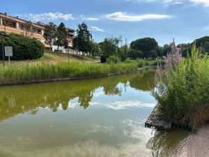 Olesa promueve la creación de espacios naturales para aumentar la biodiversidad urbana