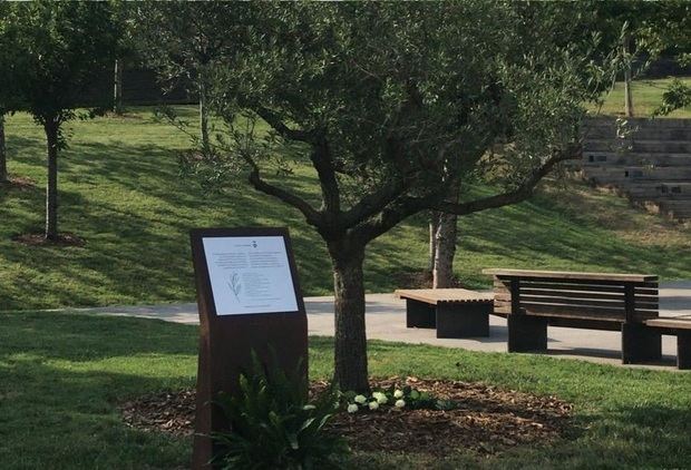 El Baix Llobregat toma medidas para evitar un brote de covid-19 como el de L’Hospitalet