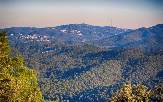 El AMB exige a la Generalitat que cumpla con su compromiso de financiación de la Serra de Collserola