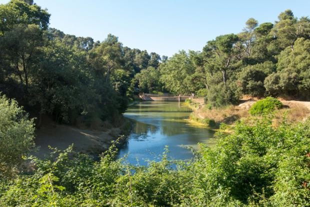 Millonaria inversión para salvar al Parque Natural de Collserola de la sequía y los incendios