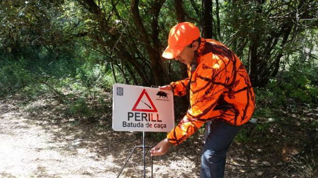 La población de jabalíes en la Sierra de Collserola se estabiliza en los últimos años