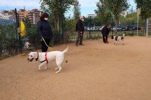 Cornellà de Llobregat identificará genéticamente a los perros