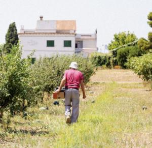 El sorprendente secreto trás la despensa del Delta: La lucha de dos jóvenes por el futuro del campo