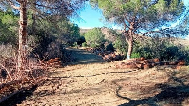 Dramático aumento en el número de árboles muertos que se deben cortar en la colina de Pep Amat