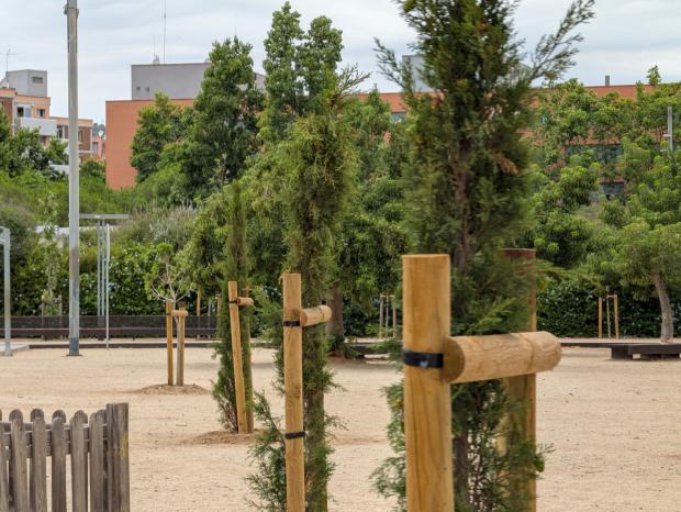 ¡Viladecans se llena de árboles! Así será la gran revolución verde que cambiará la ciudad