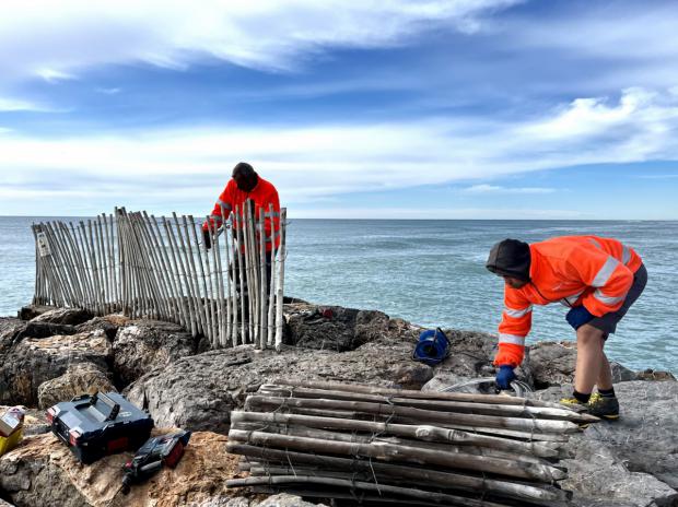 La playa del Remolar cierra hasta finales de julio para la supervivencia de sus especies protegidas