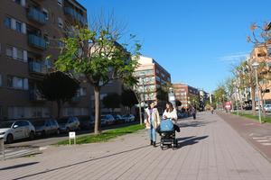 Nueva prueba piloto de poda árboles adaptada al cambio climático en Sant Joan Despí