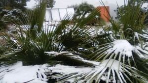 Prealerta por nieve en Castelldefels este lunes: qué se espera y a qué hora