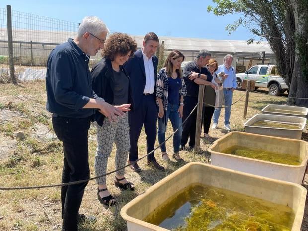 Nueva actuación de prevención y control de plaga mosquitos en el Baix Llobregat