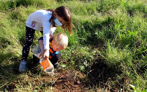 Árboles autóctonos contra la urbanización de la Riera de la Bòbila de Sant Boi