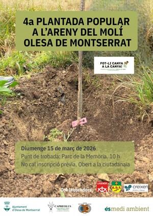 Olesa se prepara para la cuarta Plantada Popular en el Areny del Molí el 15 de marzo