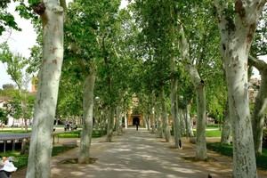 Actividades gratuitas y exposiciones para disfrutar en Cornellà durante la Semana Santa de 2026