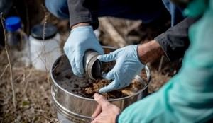 Participa en la limpieza de bosques y montañas: inscripciones abiertas hasta el 13 de diciembre en Castelldefels