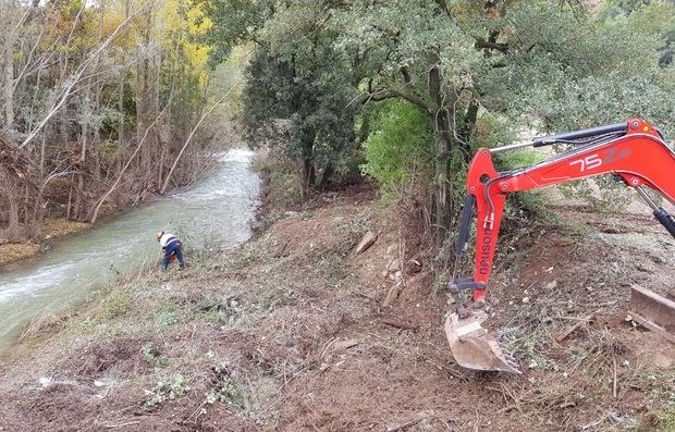 La Agencia Catalana del Agua trabaja para retirar vegetación acumulada en el cauce del Llobregat por los temporales