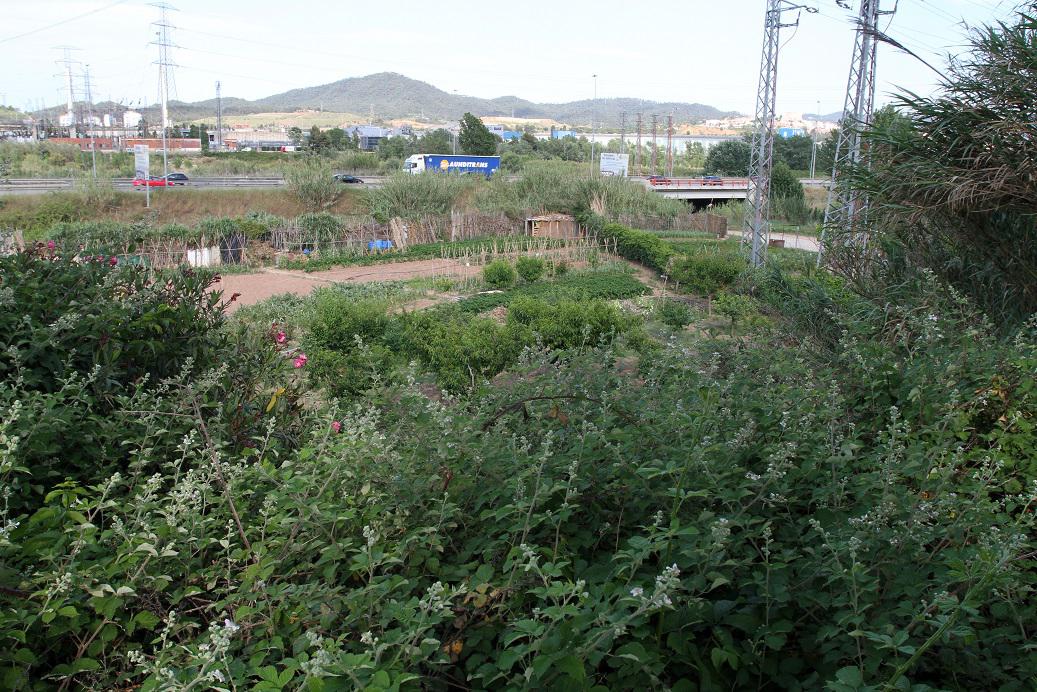 Sant Andreu de la Barca controlarà les plagues d’insectes amb ratpenats