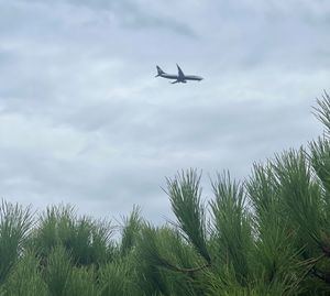 Castelldefels dice un NO rotundo al Mapa de Ruido del Aeropuerto