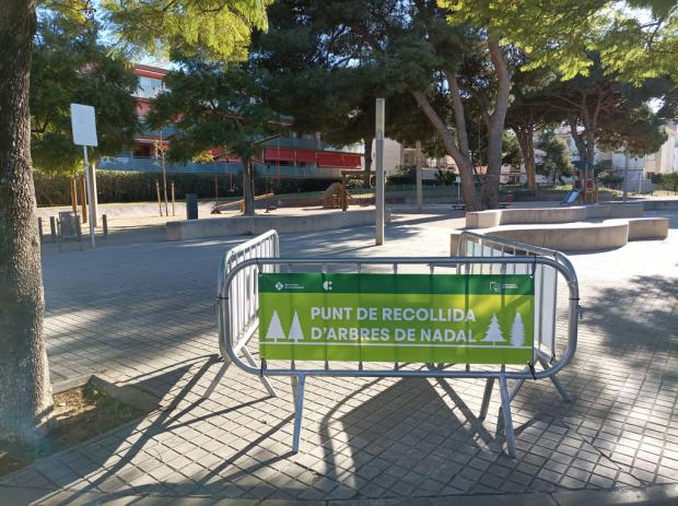 Cuida del medio ambiente: conoce los puntos de recogida para tu árbol de Navidad en Castelldefels