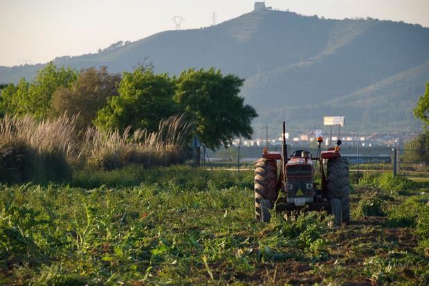 Los jueces obligan a replantear el futuro desarrollo urbanístico metropolitano