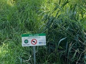 Esplugues intensifica el control de ratas y cucarachas ante plagas crecientes