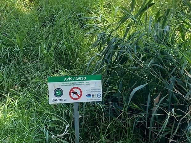 Esplugues intensifica el control de ratas y cucarachas ante plagas crecientes
