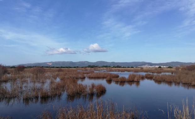 Medidas de restauración de la marisma de Filipines-Remolar en el Delta del Llobregat