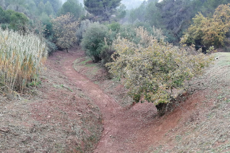 Pallejà finaliza los trabajos de mantenimiento en las rieras