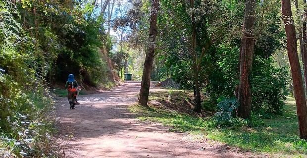 Sant Esteve Sesrovires aprueba su plan de prevención de incendios forestales