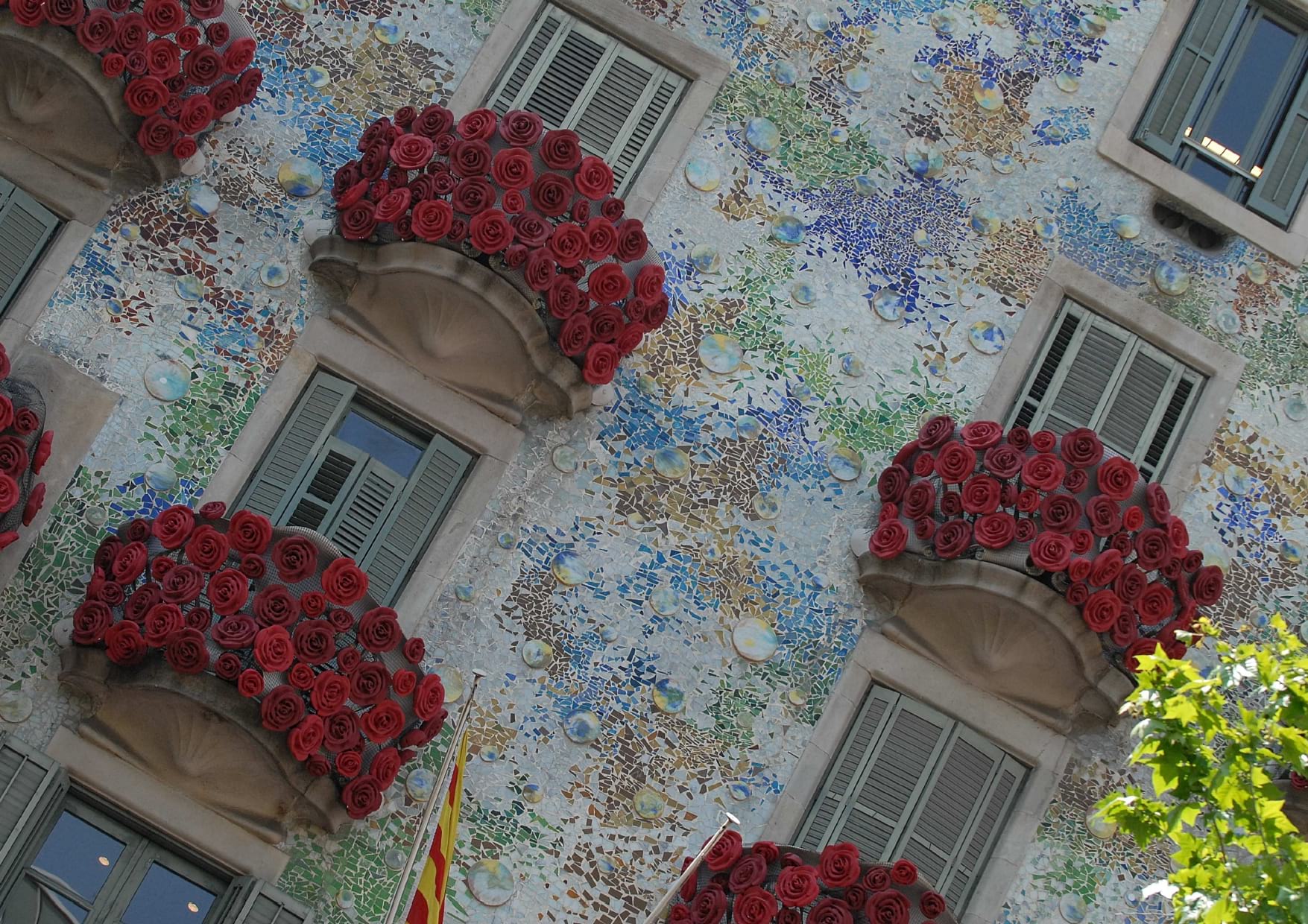 Carme Polo desvela en su última publicación los secretos de las rosas y los libros de Sant Jordi