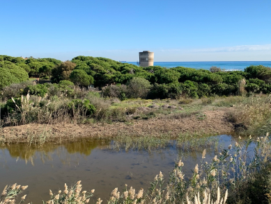 El Prat participa en un estudio sobre la adaptación al cambio climático del territorio