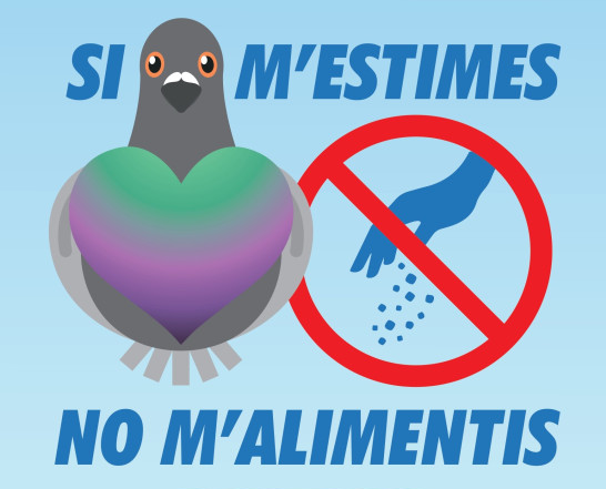 Olesa sufre un problema de sobrepoblación de palomas