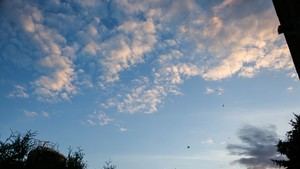 Alerta en Castelldefels por altos niveles de ozono troposférico