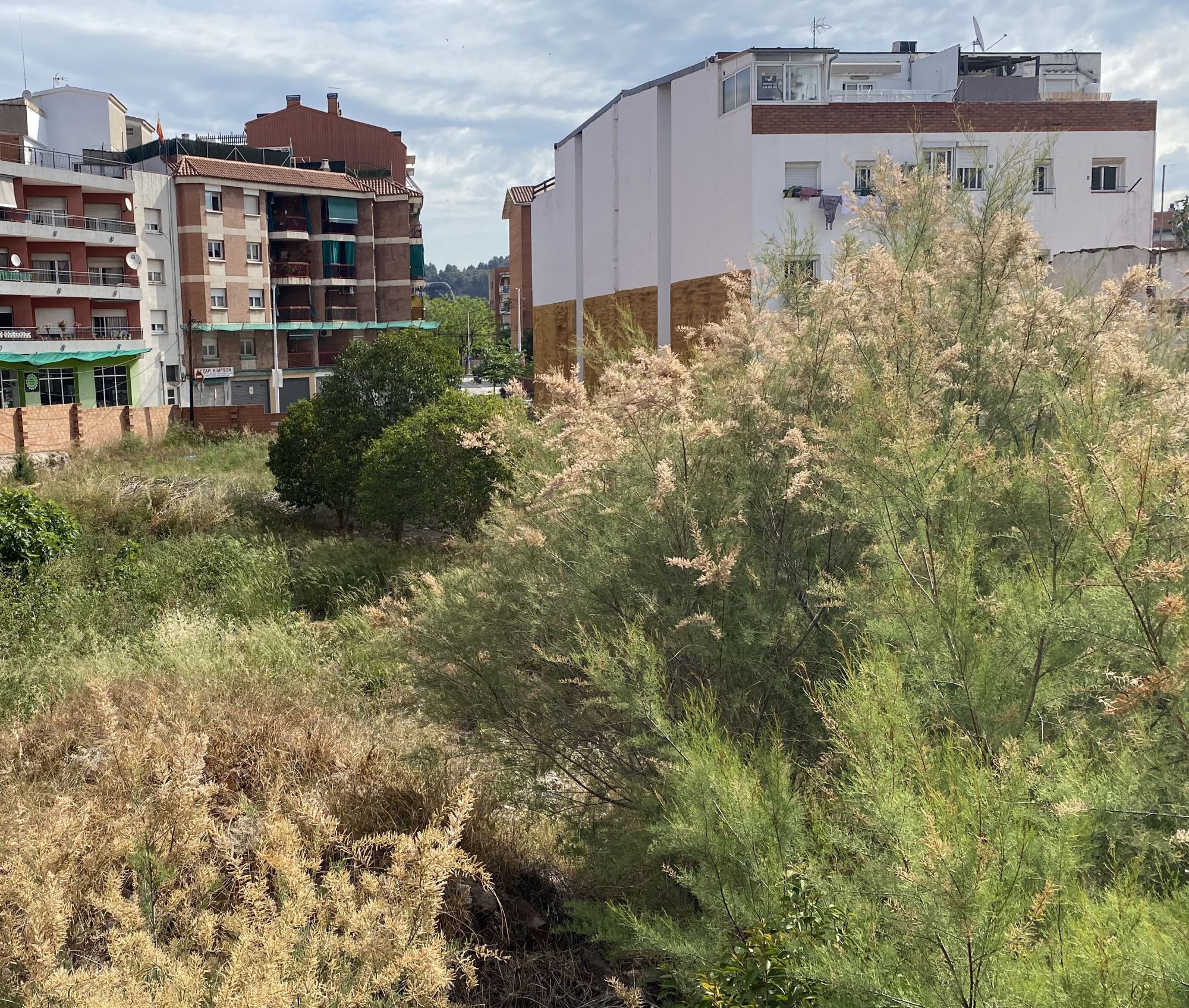 &iquest;Buscas una vivienda asequible? Sant Andreu construir&aacute; 40 viviendas de alquiler