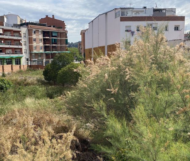 ¿Buscas una vivienda asequible? Sant Andreu construirá 40 viviendas de alquiler