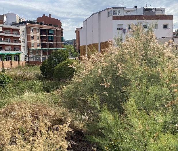 El terreno que servirá para la construcción de VPO