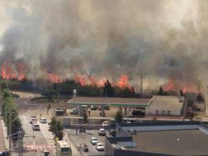 Una veintena de dotaciones de Bomberos trabaja en un incendio forestal en Sant Vicenç dels Horts
