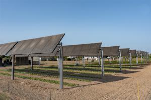 La Agròpolis combina sol y huerta en la primera planta agrivoltaica monitorizada de Cataluña