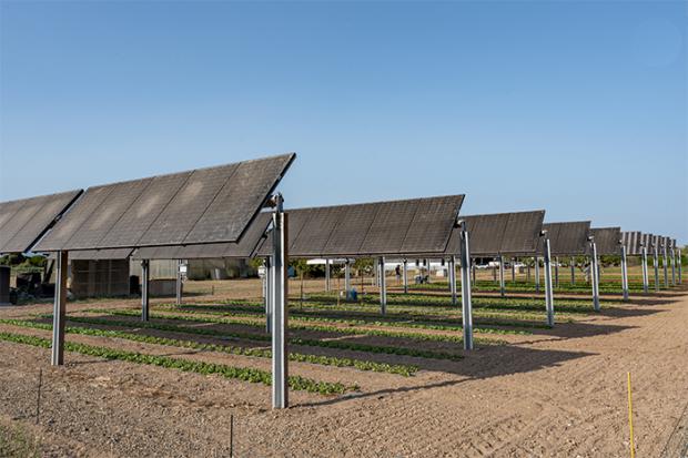 La Agròpolis combina sol y huerta en la primera planta agrivoltaica monitorizada de Cataluña