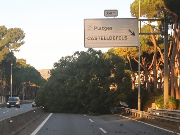 ¡Alerta Extrema!: El violento temporal de viento causa estragos en el Baix Llobregat y L’Hospitalet