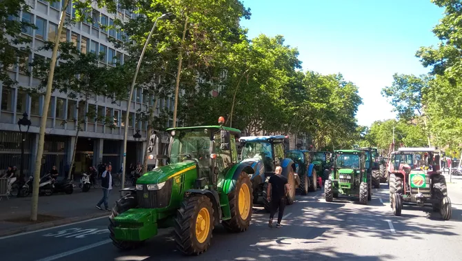 Drama en la agricultura del Baix y tractorada. Los regantes del Canal de la Dreta piden más agua