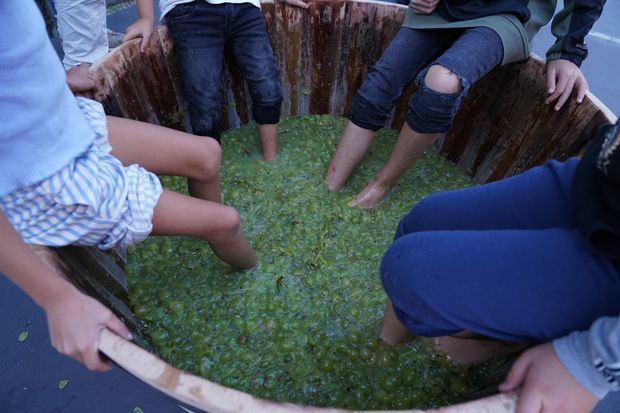 La historia detrás de la Festa del Most: un evento que celebra el pasado vitivinícola de Begues