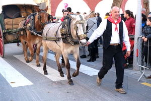 Sant Joan Despí celebrará Els Tres Tombs el 12 y 13 de febrero 