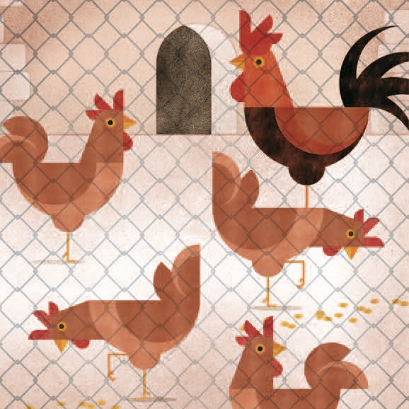Las aves de corral domésticas deberán estar encerradas para evitar los brotes de gripe aviar