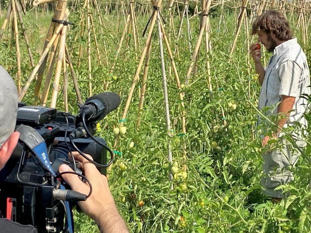 El proyecto de recuperación agraria Espai Test Agrari da sus primeros frutos