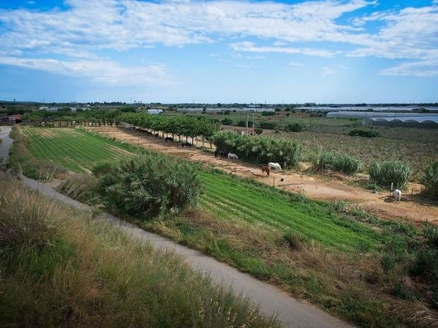 Alerta ante la posible pérdida de cosechas en el Baix Llobregat con la llegada de nuevas tormentas