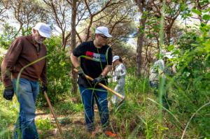 Viladecans organiza un voluntariado para eliminar especies invasoras de los espacios naturales