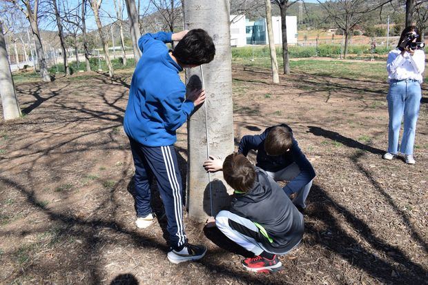 Los niños de Viladecans miden el carbono de los árboles: así contribuyen al futuro climático local