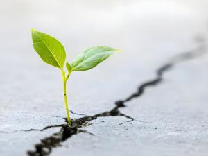Abrera programa una formación de resiliencia motivadora para personas en paro