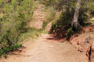 Las obras de arreglo y mejora transformarán el camino de la Roca Vilana en Pallejà